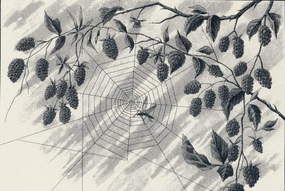 Garden Magic for the Season of the Crone_Feature Image