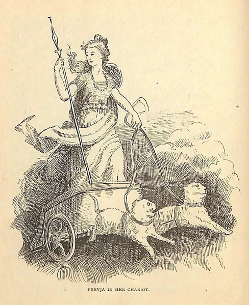 Freyja Illustration_Witches in Mythology