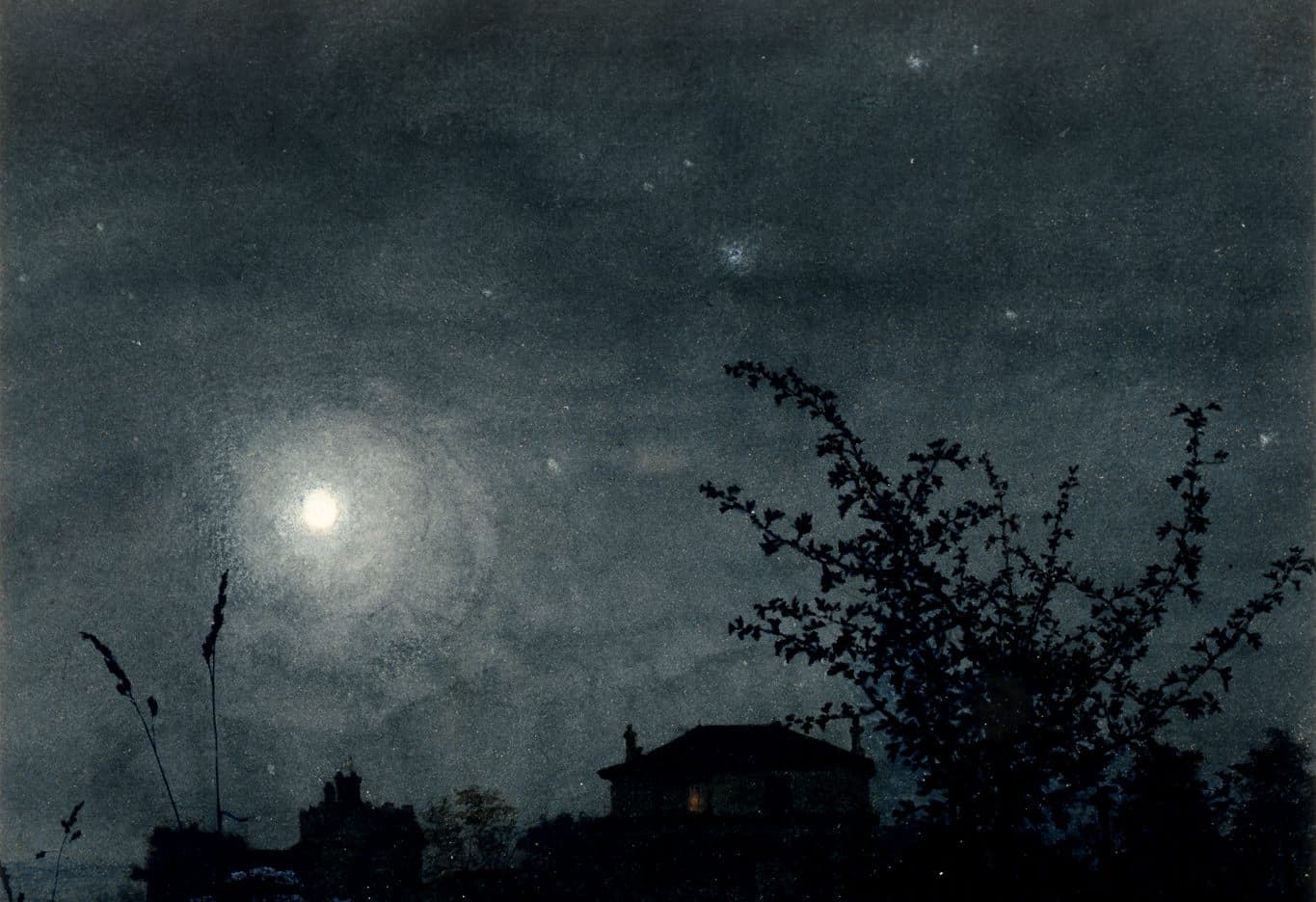 Gardening by the Moon Lunar Garden Magic_Blog Feature Image_CMA