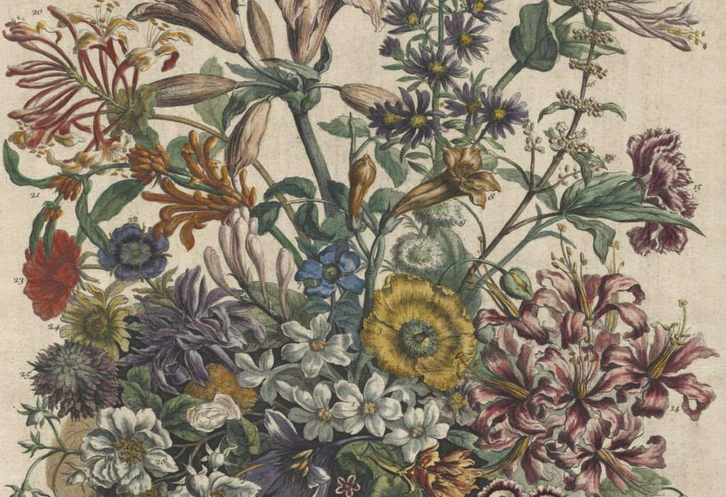 Magical Flowers: Quotes and Spells for Our Constant Friends_Blog Feature Image_CMA