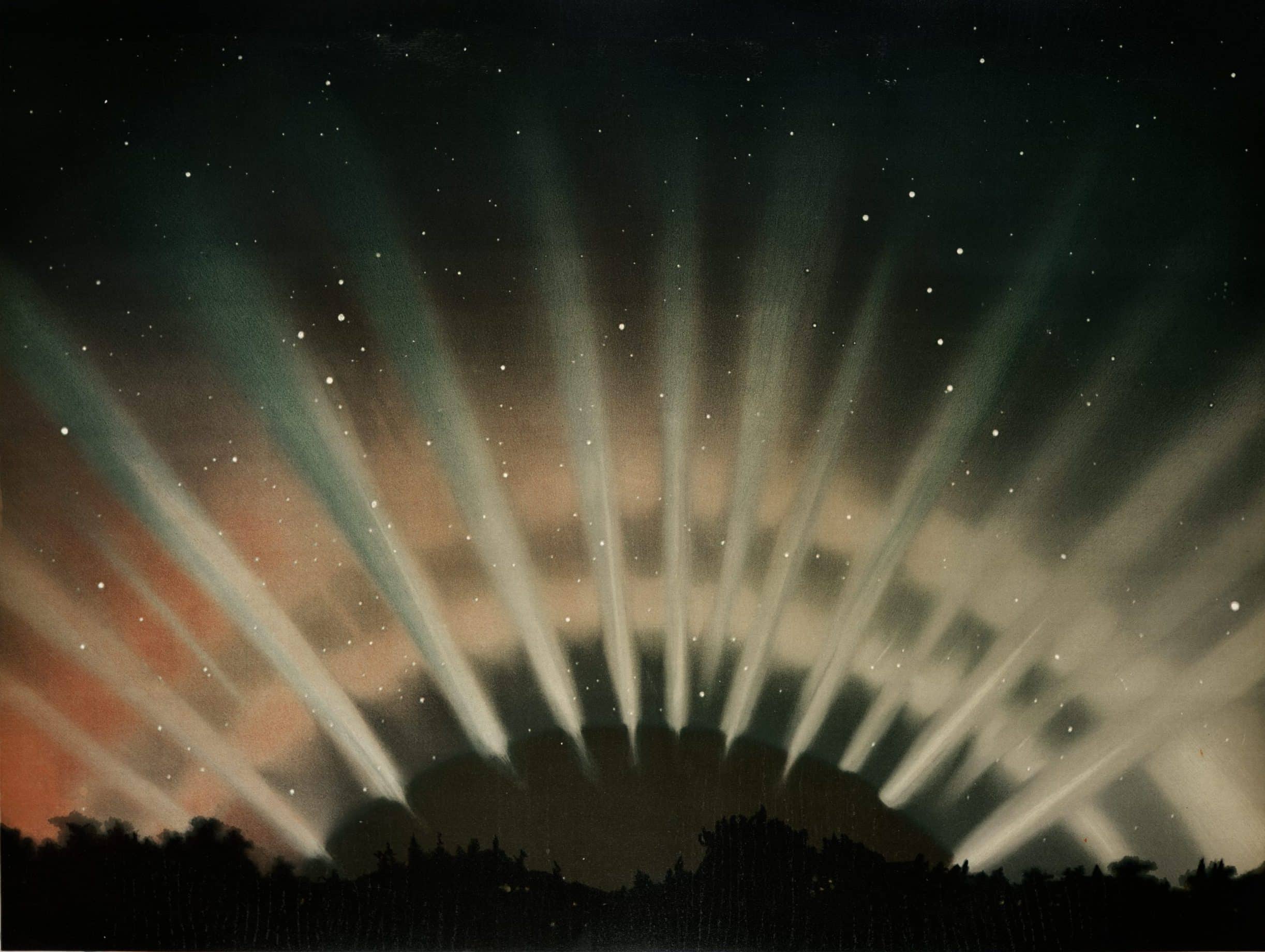 Empower Your Garden with the Magic of the 4 Elements_Blog Feature Image_CMA